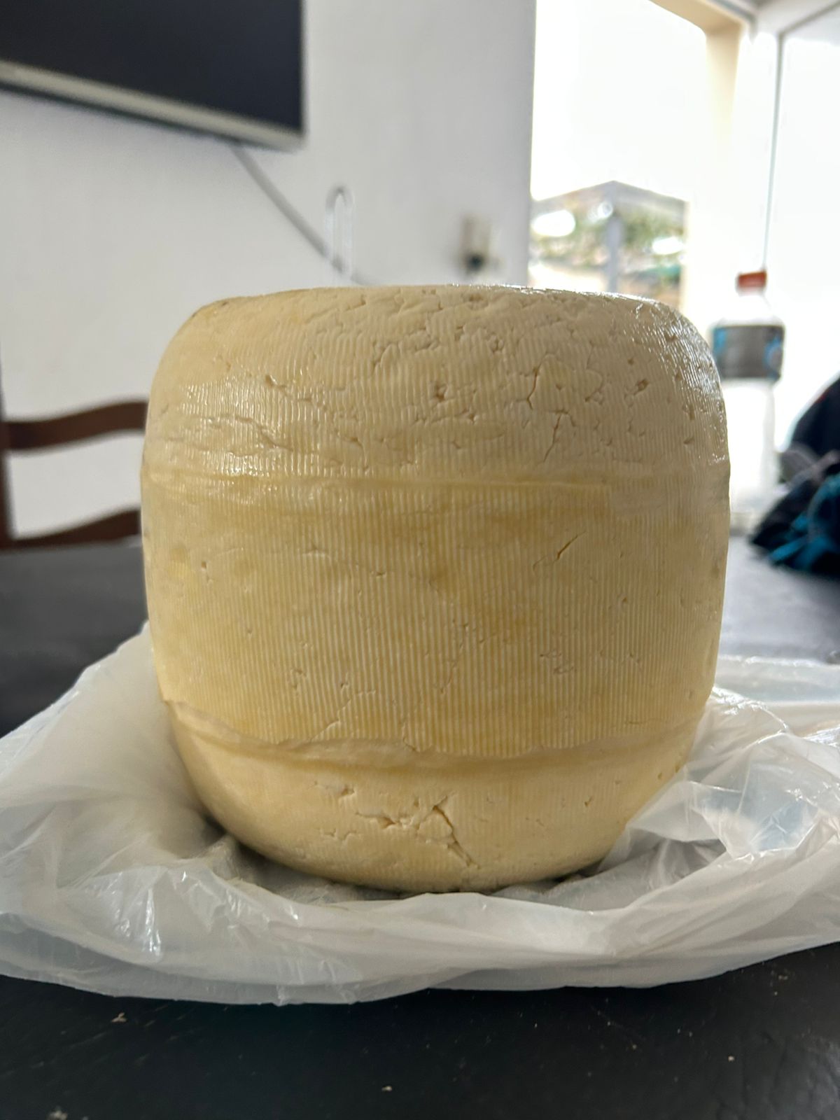 Queso Sardo Fresco