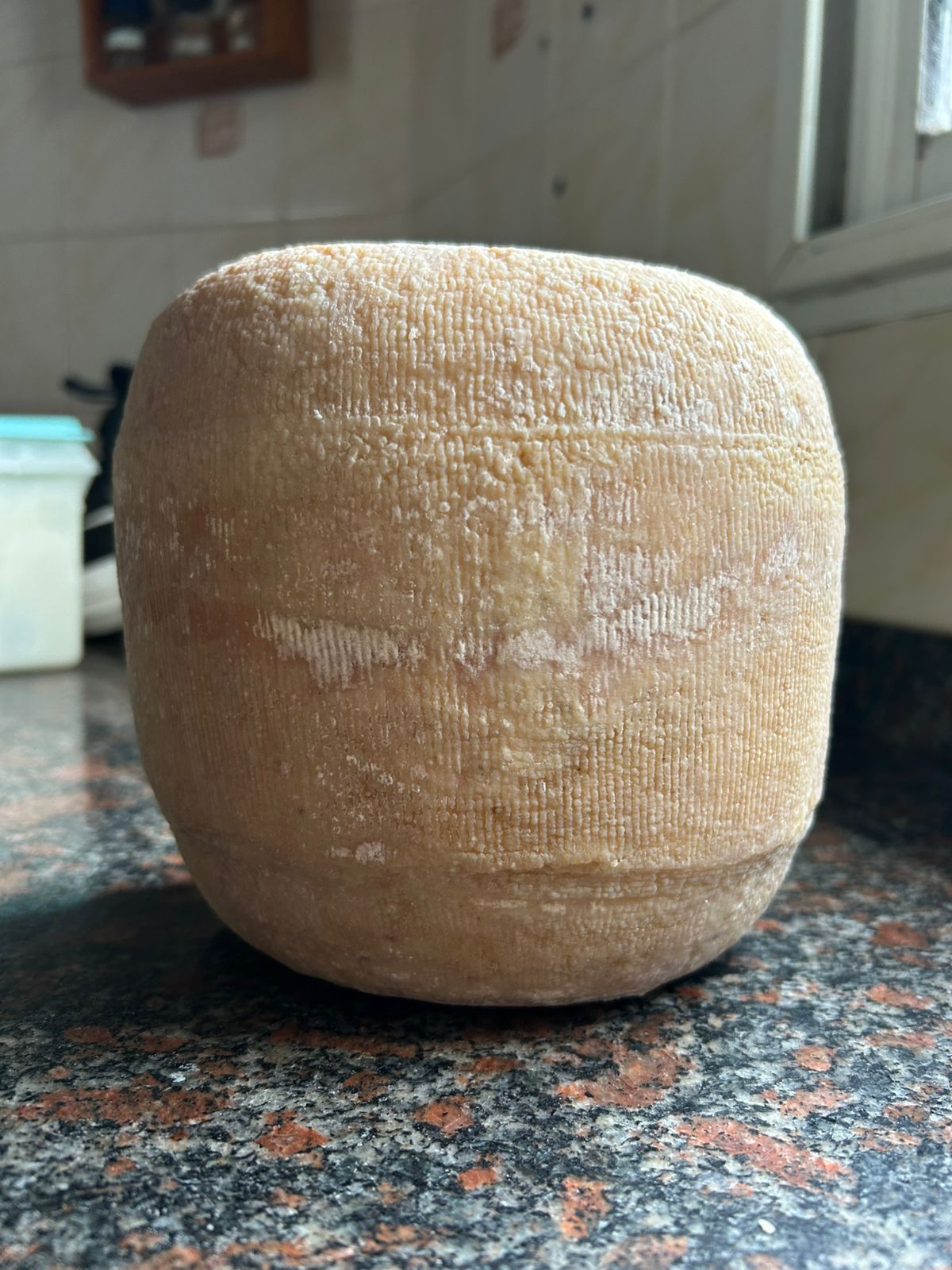 Queso Sardo Estacionado