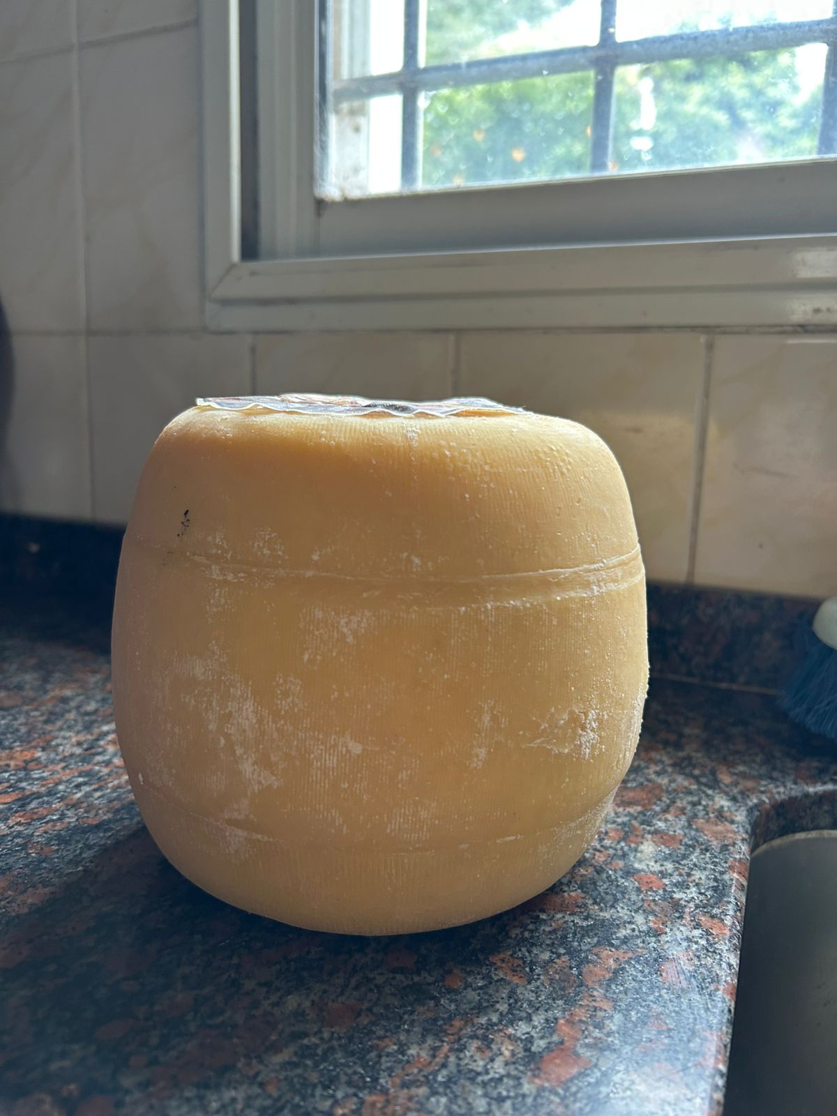 Queso Sardo Semiestacionado